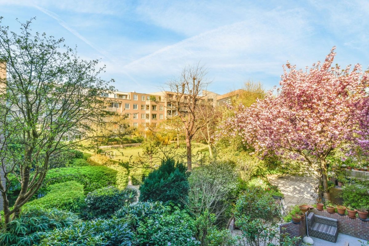 64e771e8198e3_64e7708bb69fc-amsterdamzeeburgerstraat-5f7c_8